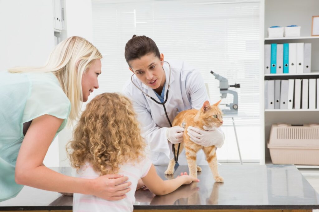 katze wird vom tierarzt untersucht, frau und kind schauen zu